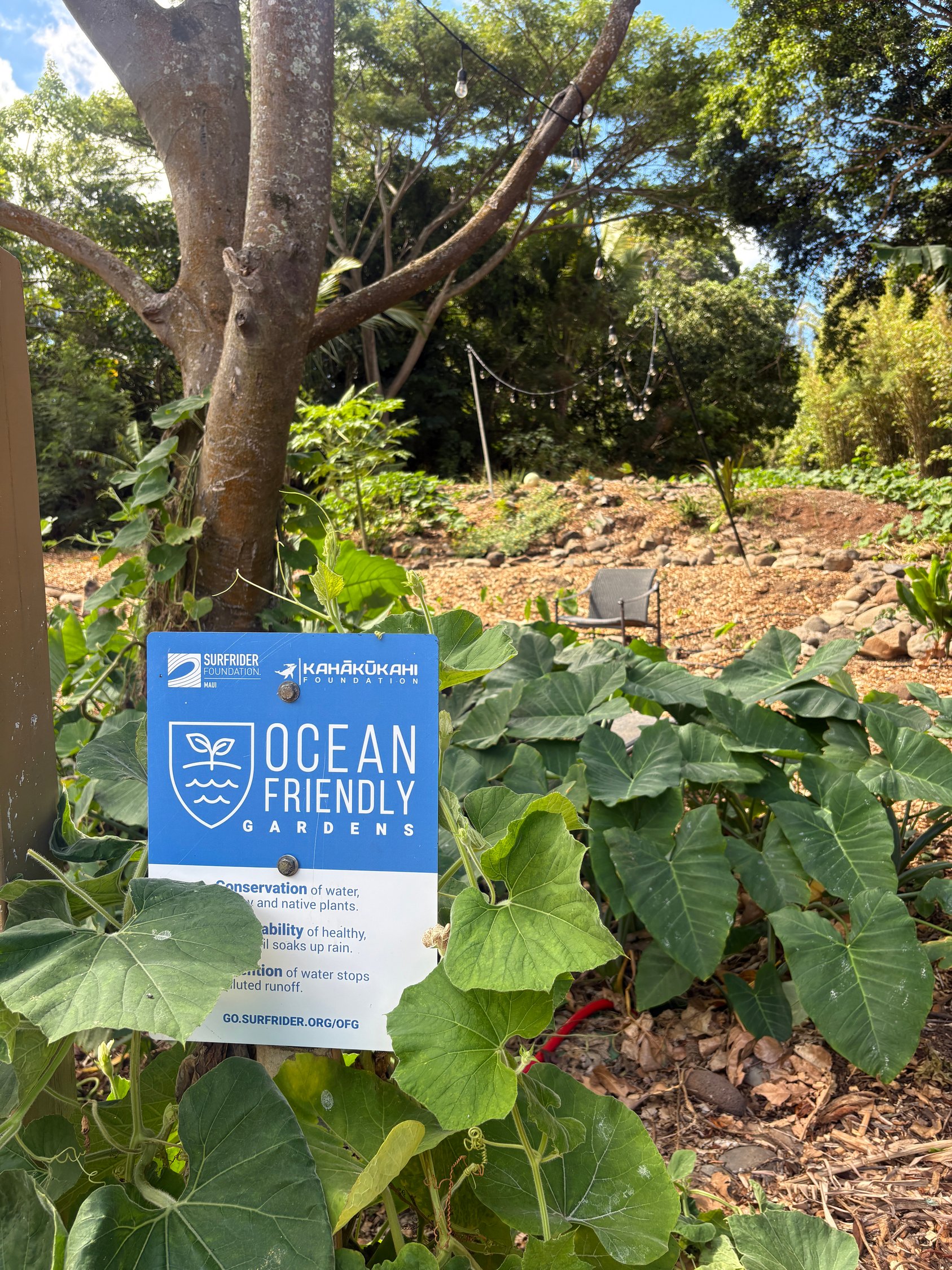 Ocean Friendly Gardens