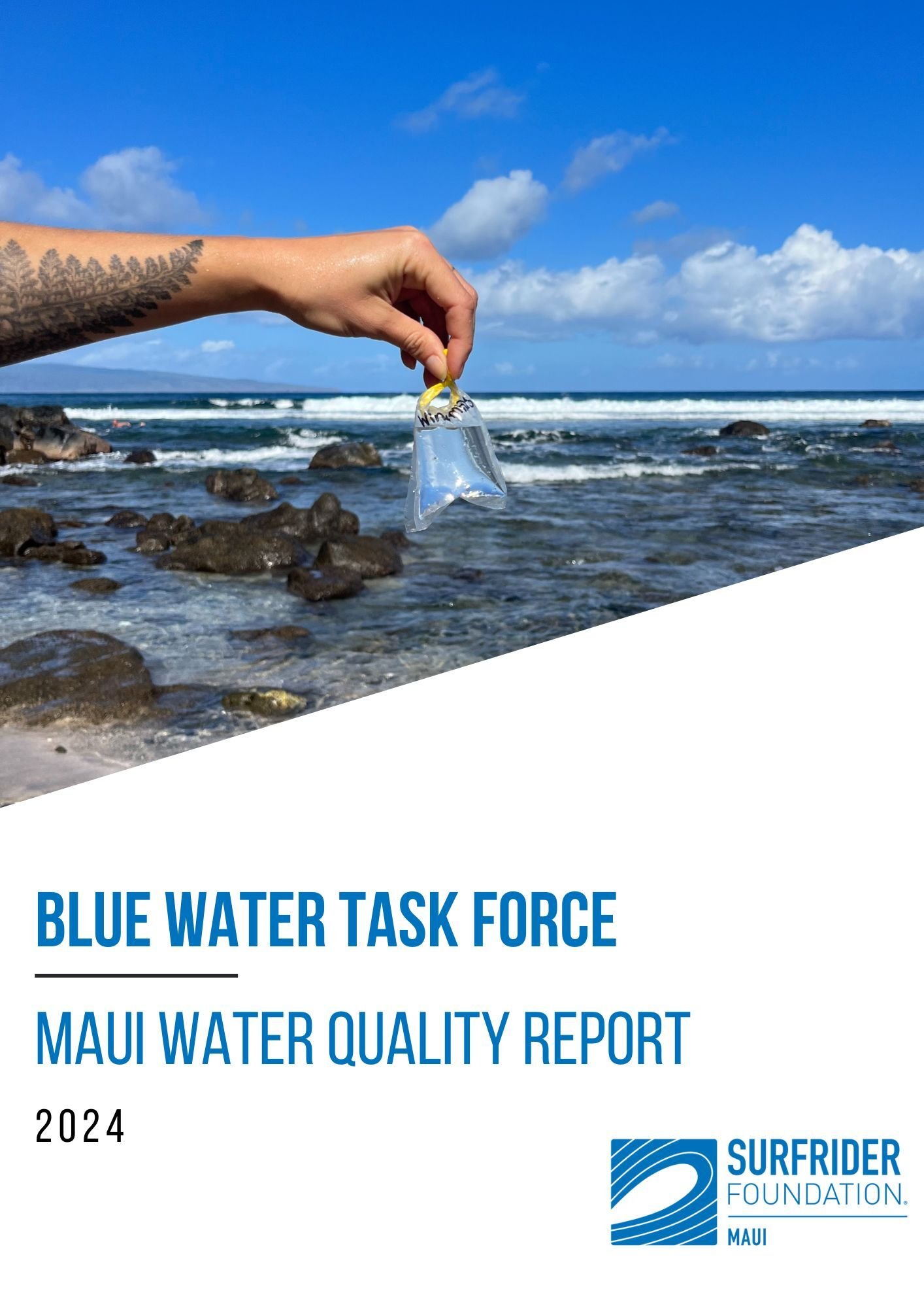 _FINAL_2024 Maui BWTF Report.pdf