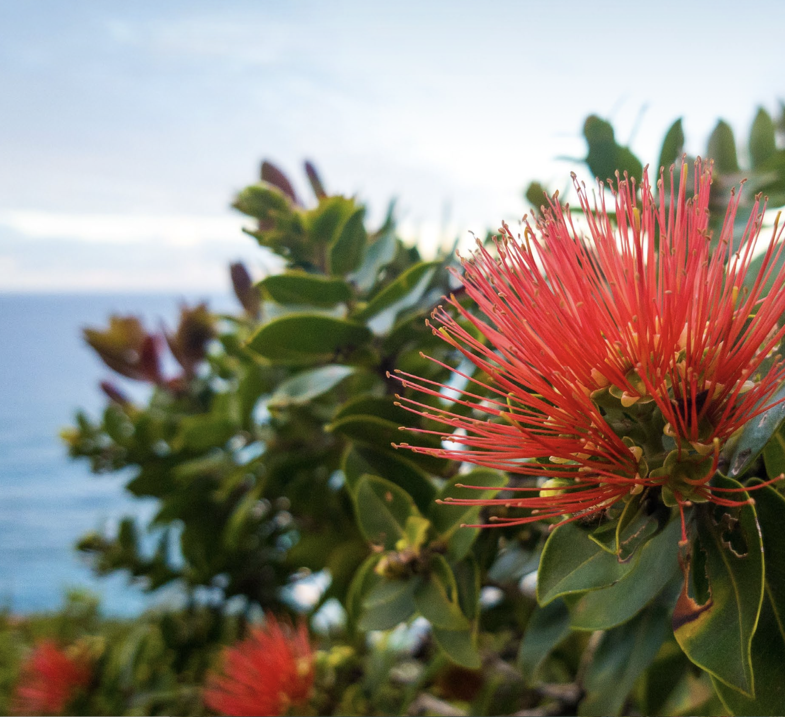 Screenshot 2025-12-03 at 10.40.47 AM copy