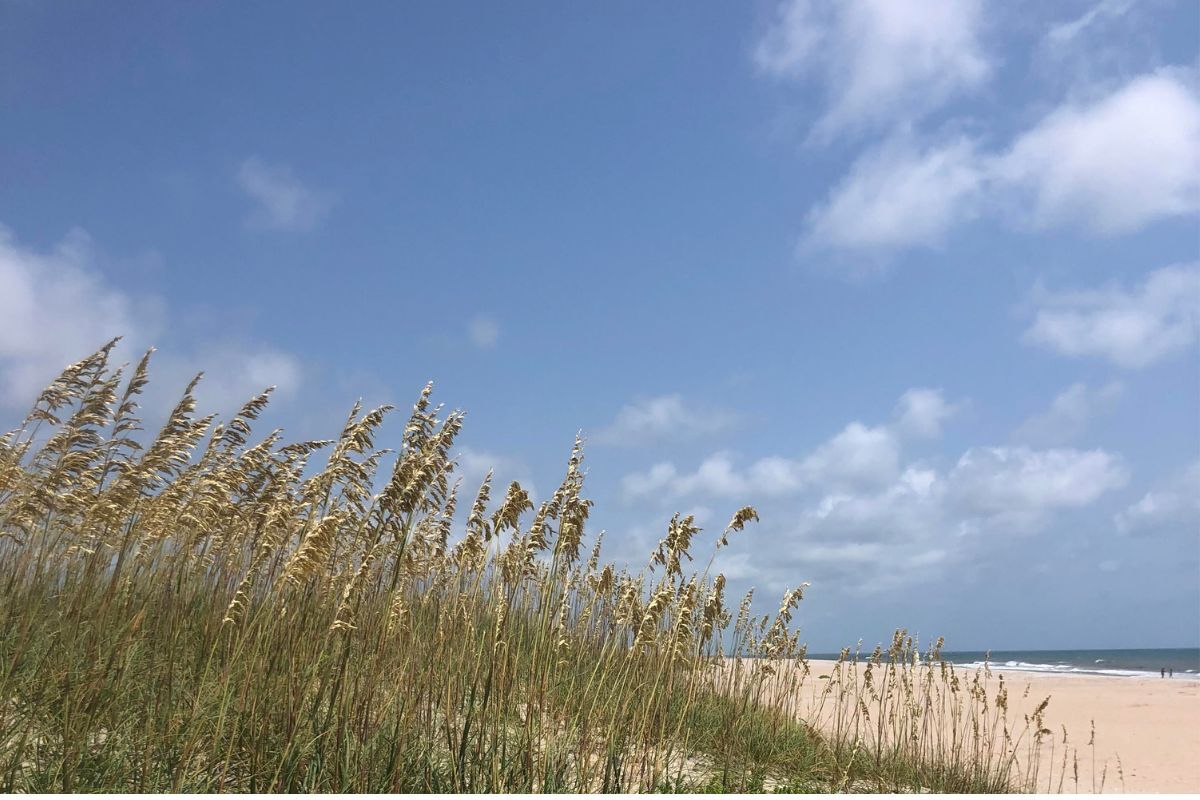 Protect North Carolina Coasts from Coastal Armoring