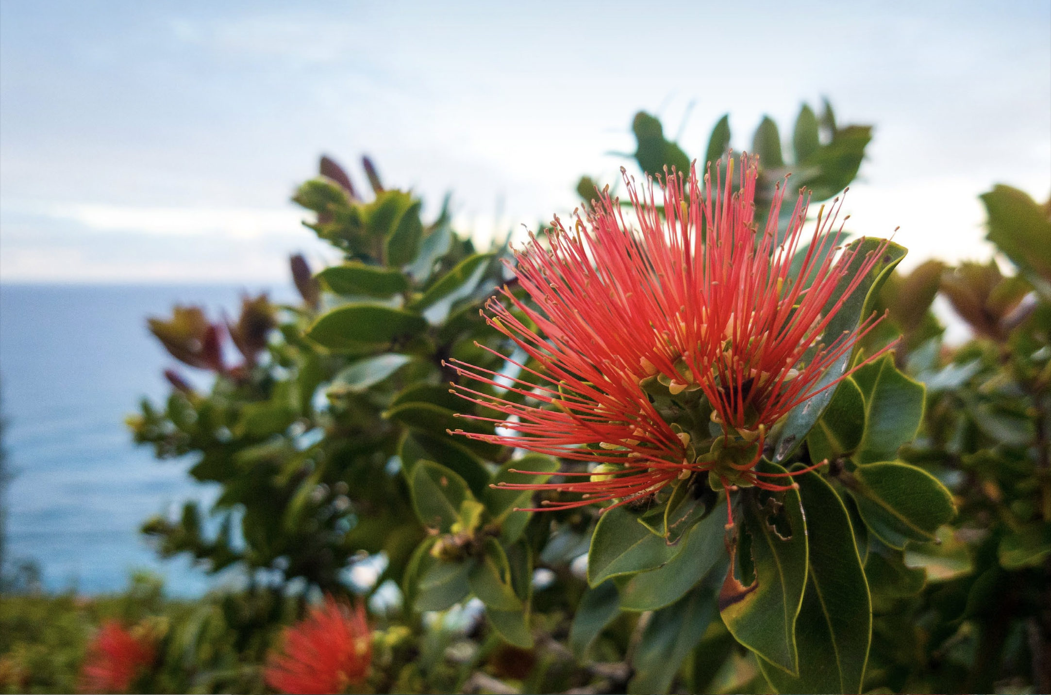 Screenshot 2025-12-03 at 10.40.47 AM