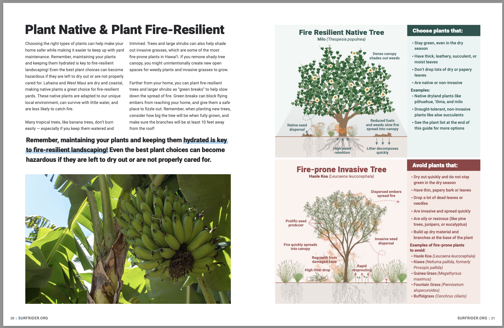 Screenshot 2025-12-03 at 11.25.15 AM Screenshot 2025-12-03 at 11.25.15 AM